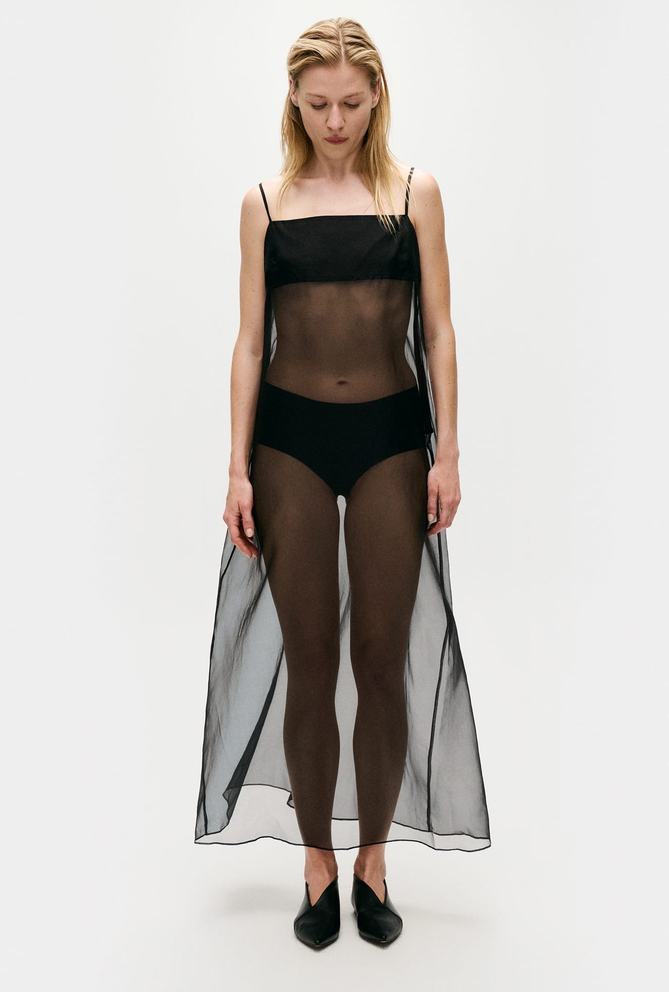 Organza A-Line Dress Black