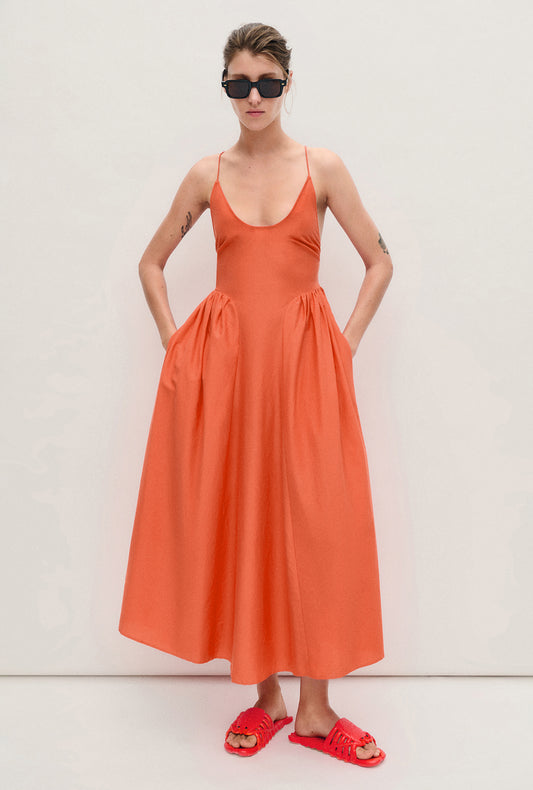 DIVE DRESS SNAPPER