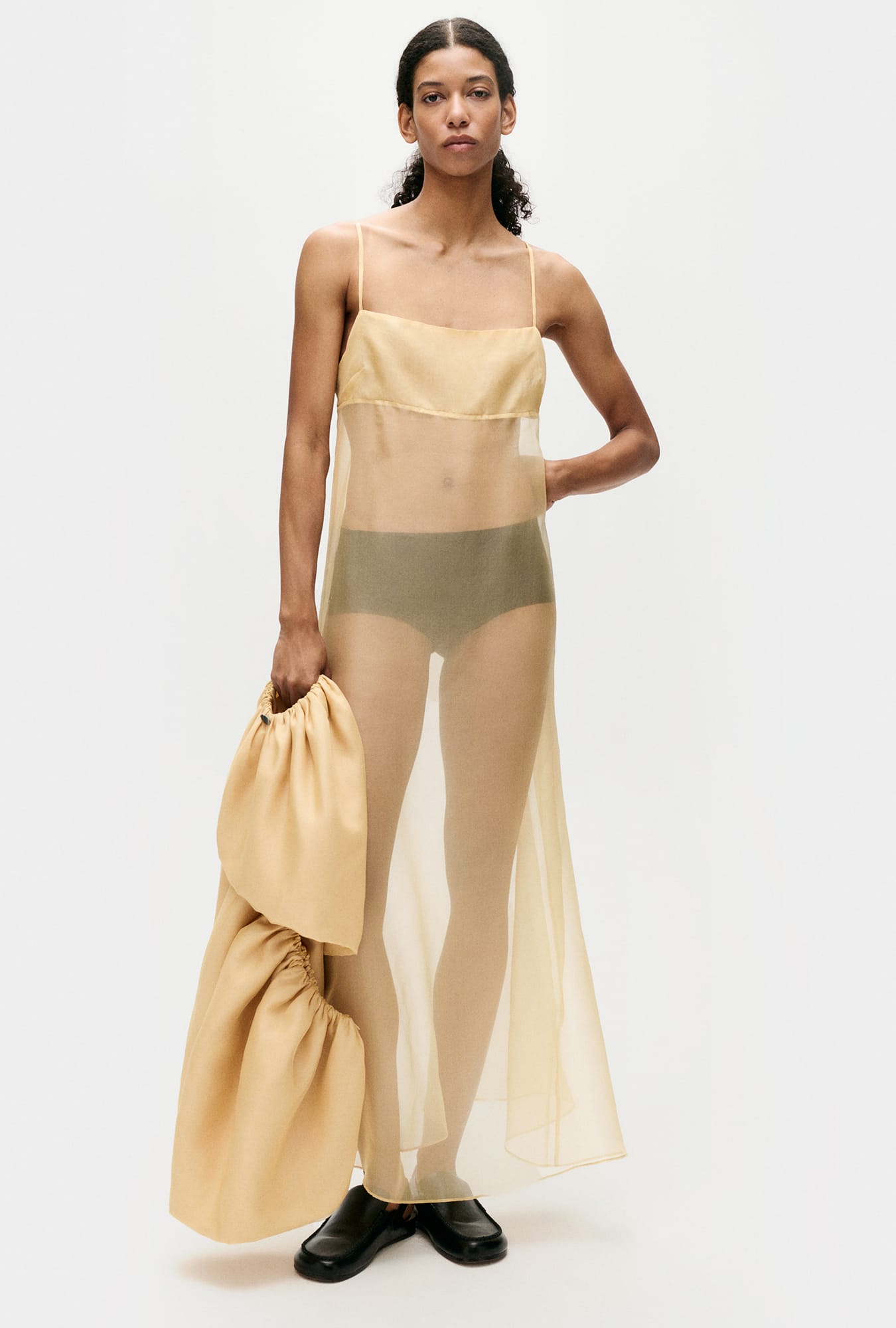 Organza A-Line Dress Beige