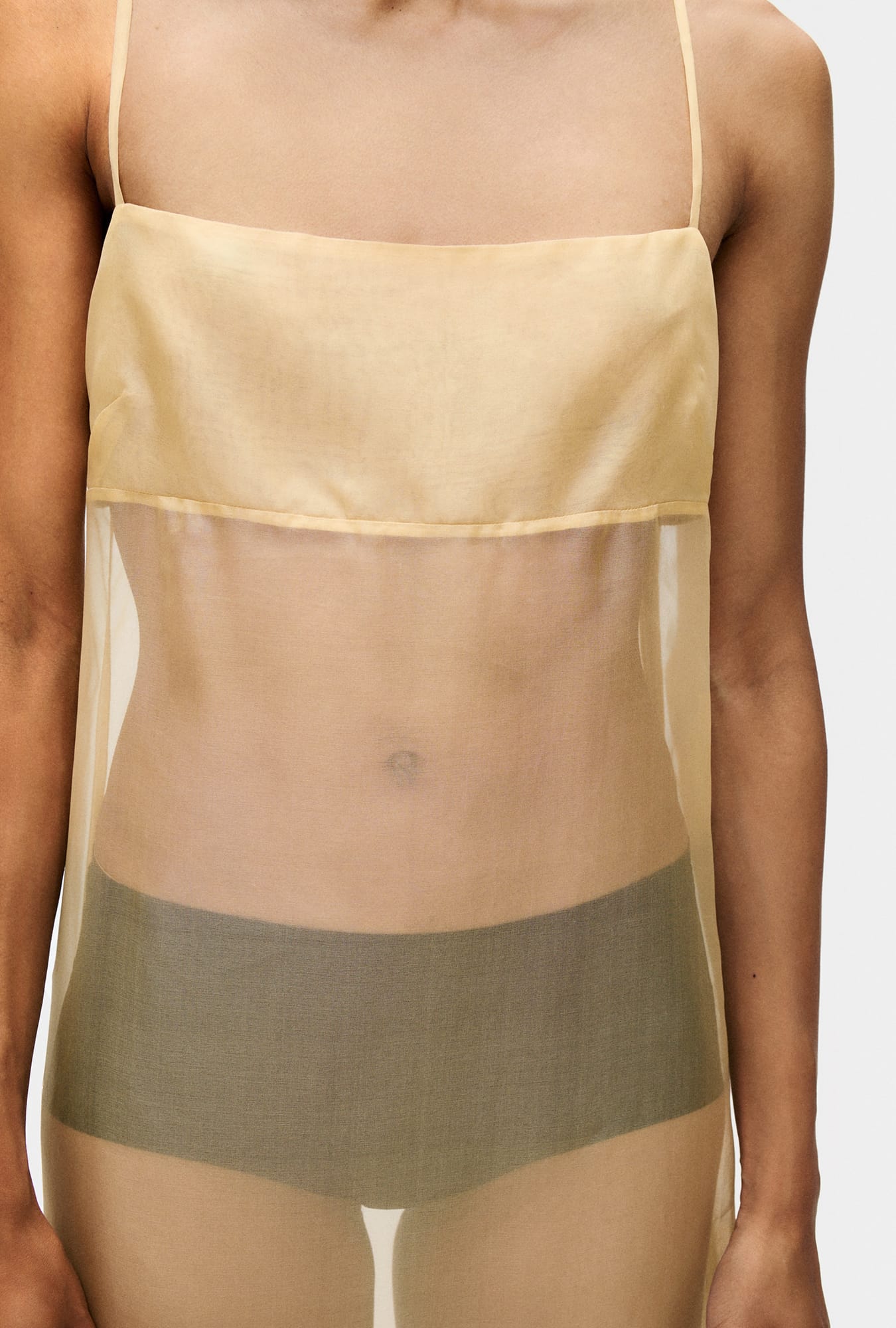 Organza A-Line Dress Beige